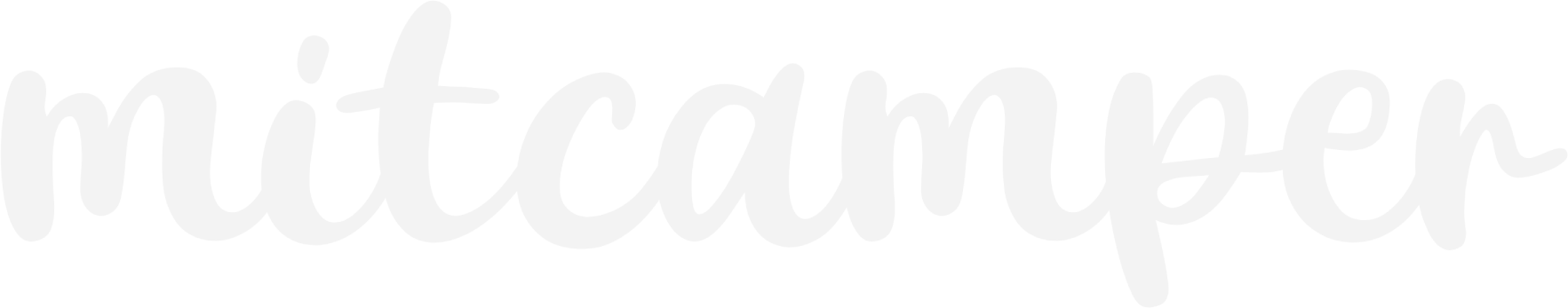 mitcamper